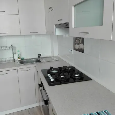 Apartman Penguin 2220